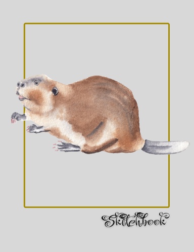 Beaver Sketchbook