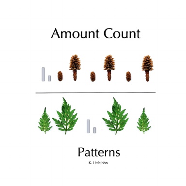 Amount Count  Patterns