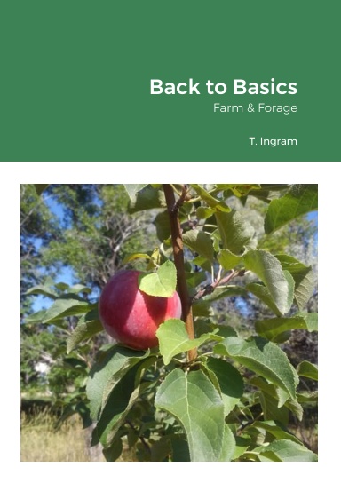 Back to Basics