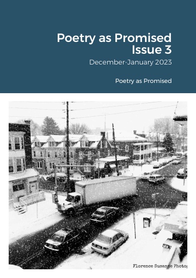 Poetry as Promised Issue 3
