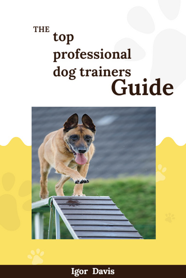 Dog Training: An In-Depth Guide to a Successful and Enjoyable Experience
