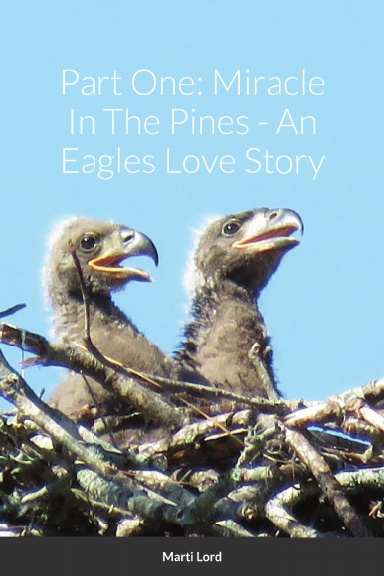 Part One: Miracle In The Pines - An Eagles Love Story