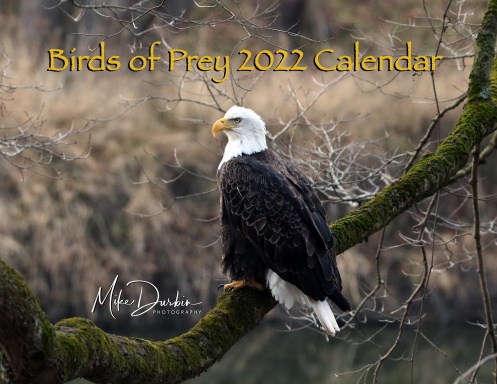 Birds of Prey 2022 Calendar