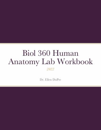 Biol 360 Human Anatomy Lab Workbook 2022
