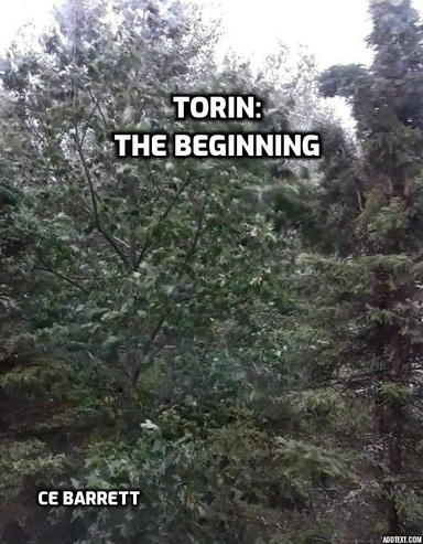 Torin: The Beginning