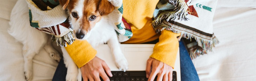 5 Ways Flexible Work Schedules Make Employees More Productive