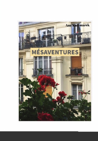 Mésaventures