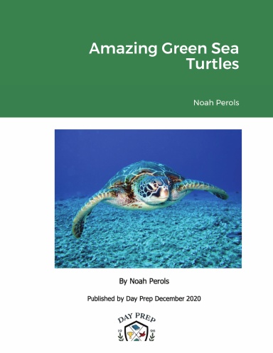 Amazing Green Sea Turtles