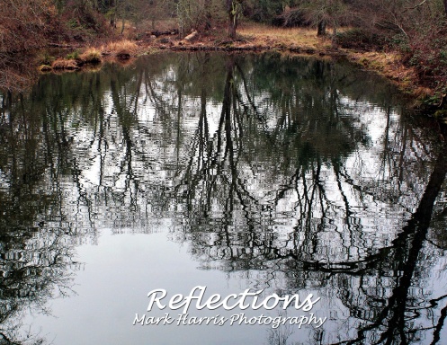 Reflections Calendar