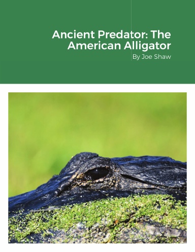 Ancient Predator: The American Alligator