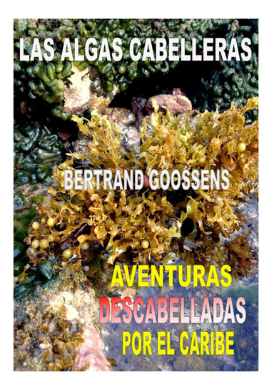 LAS ALGAS CABELLERAS