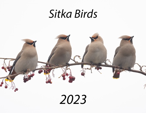 Sitka Birds 2023