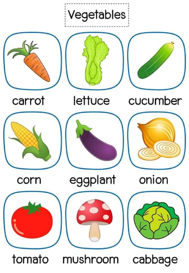 Flash Cards for Kids
