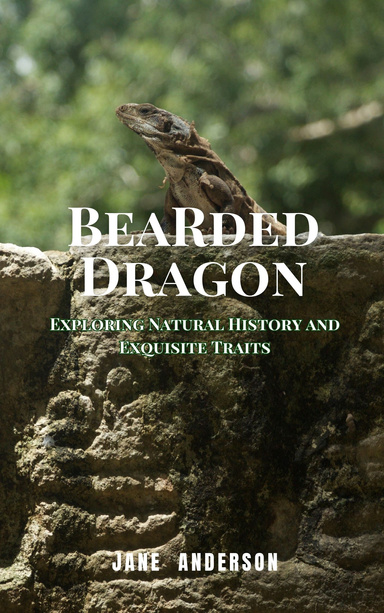 Bearded Dragon