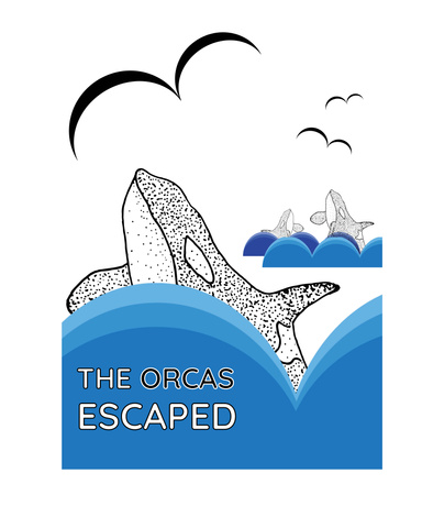 The Orcas Escaped