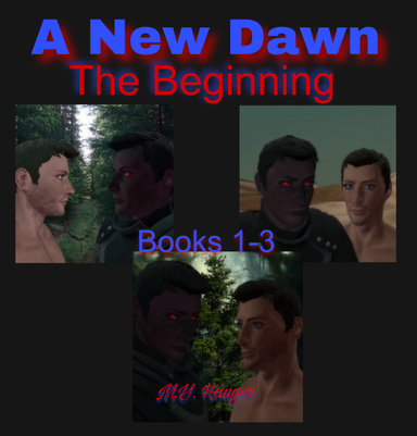 A New Dawn