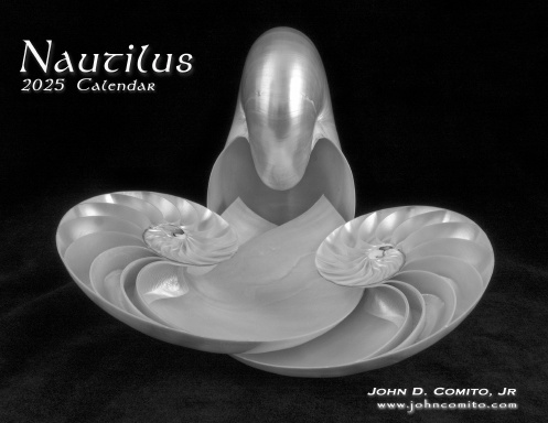 Nautilus 2025 Calendar
