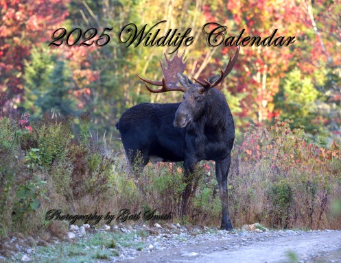 2025 Wildlife Calendar