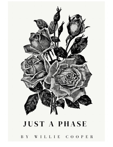 Just A Phase