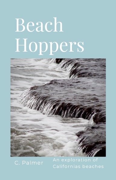 Beach Hoppers by Cory Palmer