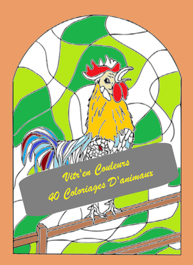 vitr'en couleurs