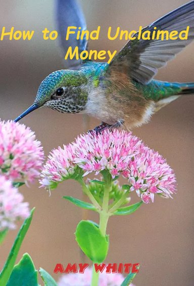 How to Find Unclaimed Money