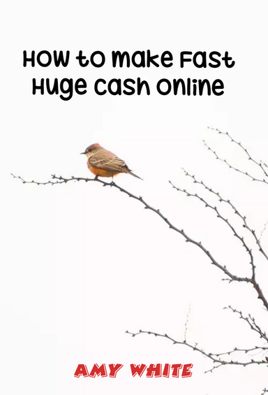 How to make Fast Huge Cash Online