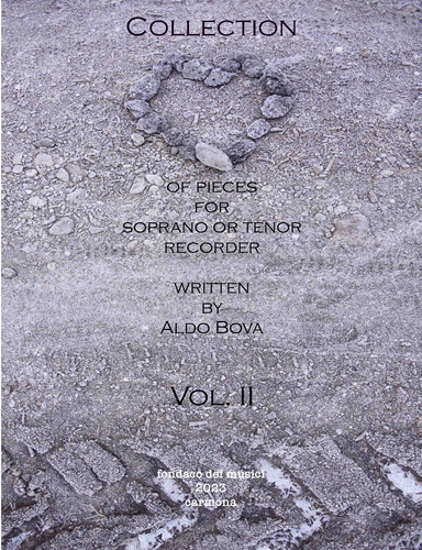 Collection of pieces for soprano or tenor recorder vol. 2