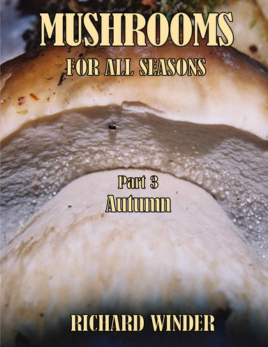 Mushrooms For All Seasons: Part 3 Autumn