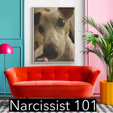 Narcissist 101