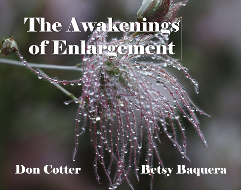 The Awakenings of Enlargement