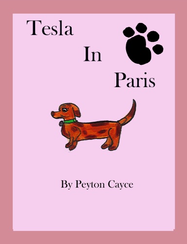 Tesla in Paris