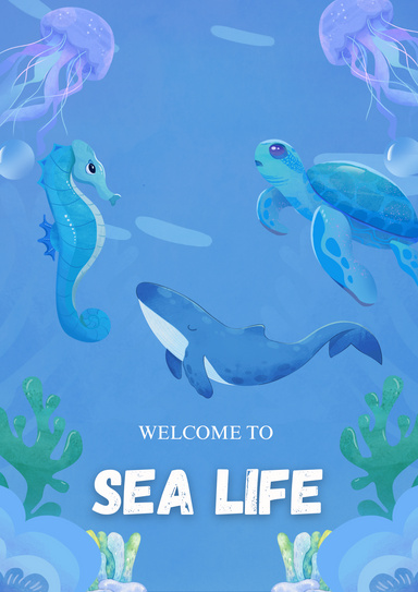 Animal Sea Life
