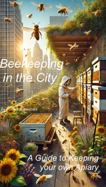 Beekeeping in the City