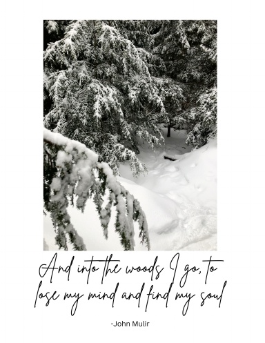 And Into The Woods I Go - Dot Journal