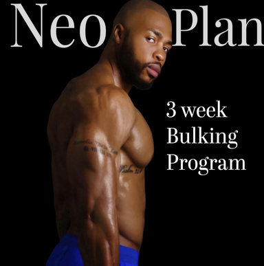 Neo Plan 3 Week Bulking Program
