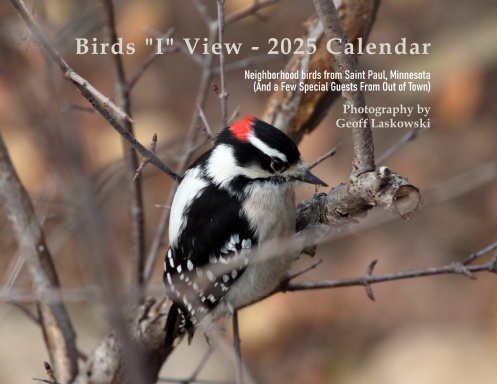 Birds "I" View 2025 Calendar