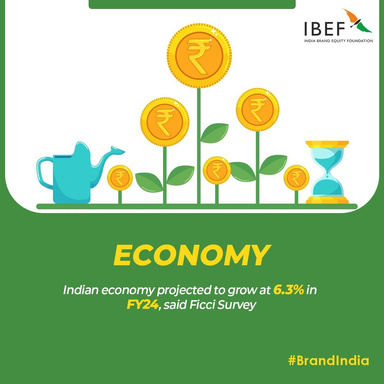 What Makes the Indian Economy Resilient Amid Triumphs and Challenges?