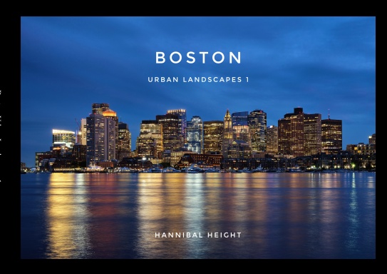 Boston Urban landscapes 1