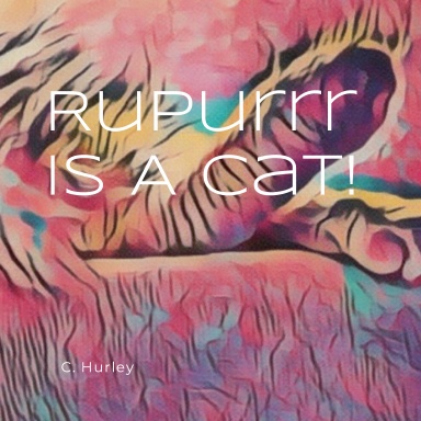 Rupurrr Is A Cat!