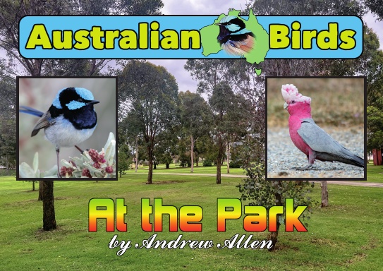 Australian Birds: At the Park