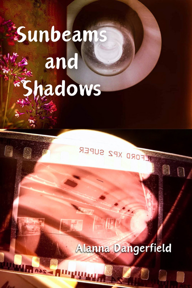 Sunbeams and Shadows