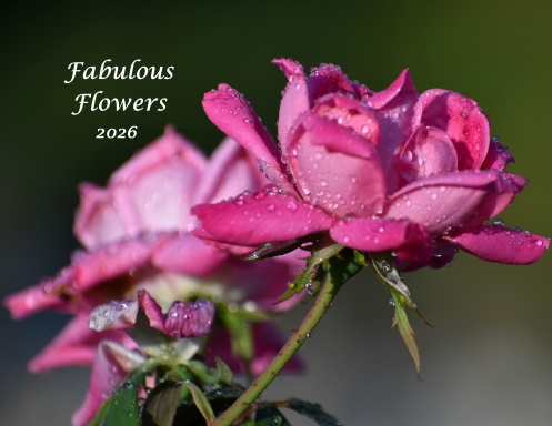 Fabulous Flowers - 2026