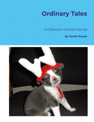 Ordinary Tales