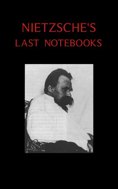 Nietzsche's Last Notebooks