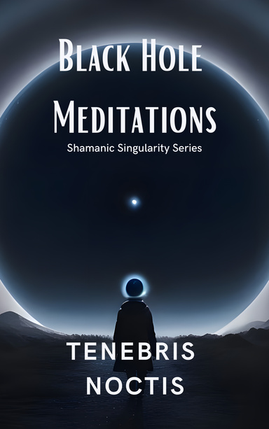 Black Hole Meditations