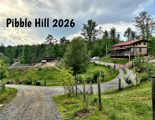 Pibble Hill 2026