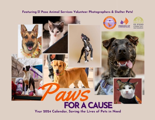 Paws for a Cause 2024 Pet Calendar