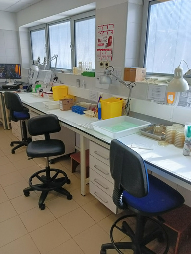 Guía de prácticas para laboratorio de bioquímica