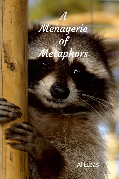 A Menagerie of Metaphors